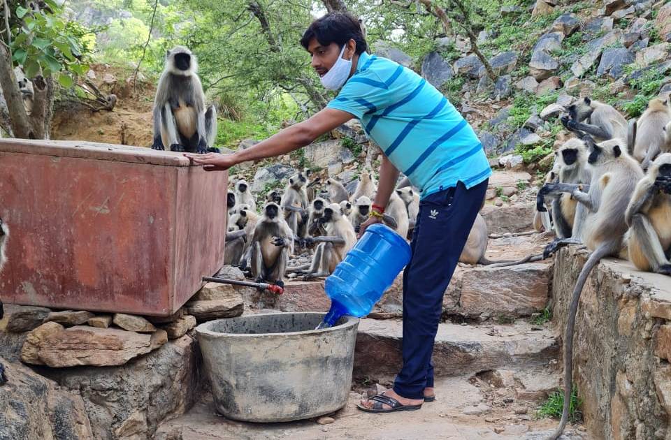 श्री फाउंडेशन ने बेजुबानों को खिलाई भोजन सामग्री