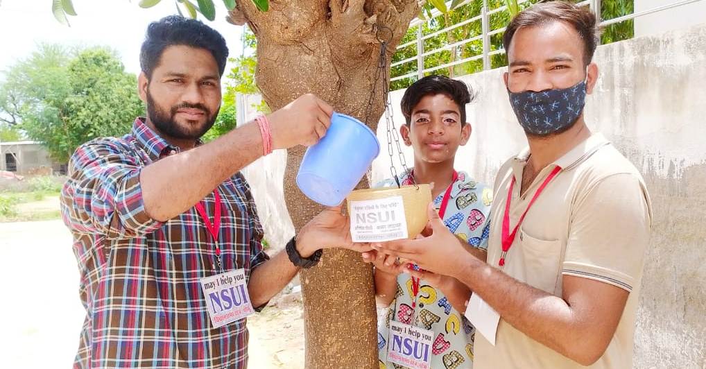 एनएसयूआई ने की बेजुबान पक्षियों व पशुओं के लिए ये पहल 
