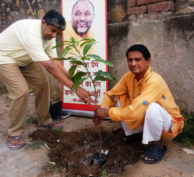 पर्यावरण प्रेमी द्वारका प्रसाद चोपड़ा ने अपने जन्मदिन पर किया सरकारी स्कूलो में पौधारोपण