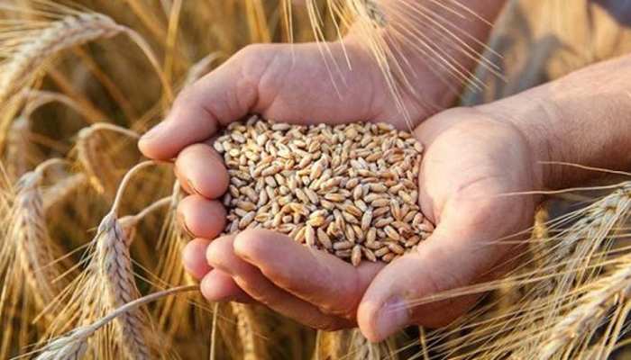 बेघर लागों के भी बनेंगे राशन कार्ड