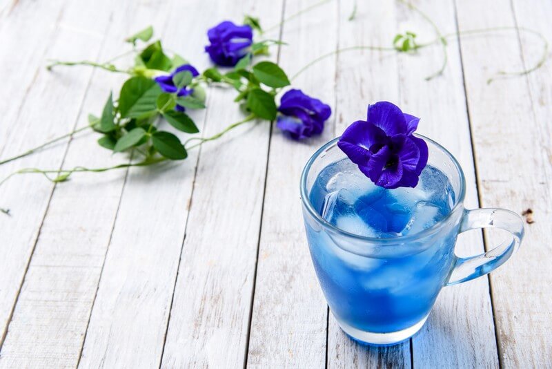 वेट लॉस ही नहीं डायबिटीज को भी रखती है कंट्रोल ‘Blue Tea’