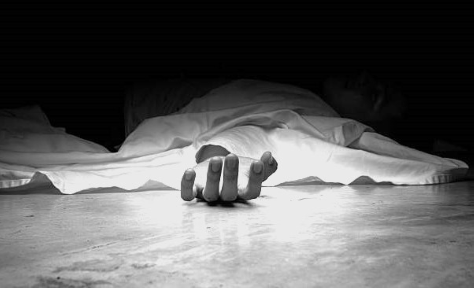 मां को गाली देने पर पोते ने ली दादी की जान